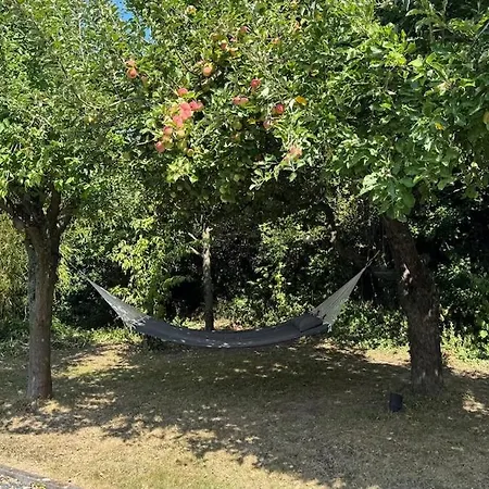 Exklusives Architektenhaus, Pool Und Privateinfahrt * Mönchengladbach